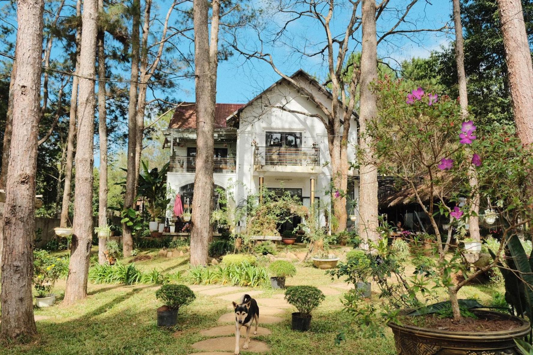 S'Nghe Homestay Mang Den Kon Von Kla Exteriér fotografie
