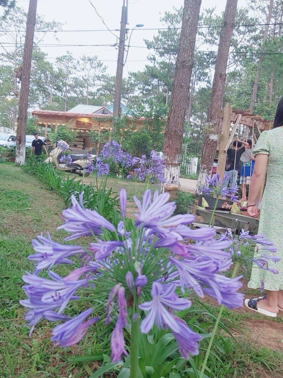 S'Nghe Homestay Mang Den Kon Von Kla Exteriér fotografie